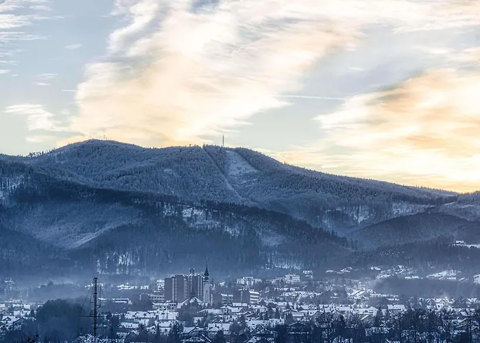 Hotel Ibis Styles Biala